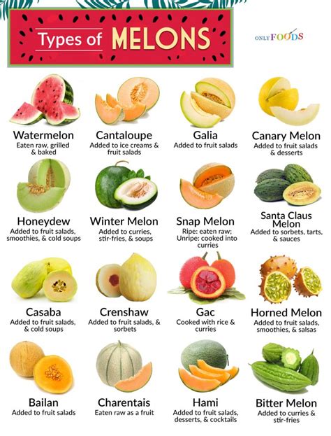 A Guide to Types of Melons